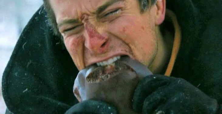 Bear Grylls regrets killing ‘way too many animals’ for his shows