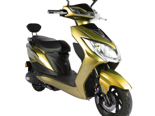 Govt refutes reports, says didn’t ask EV makers to stop production