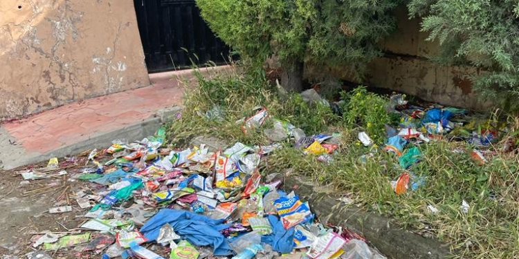 Badamwari garden in bad shape: CCIK