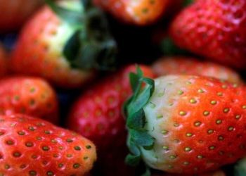 US, Canada investigate Hepatitis A outbreak linked to strawberries