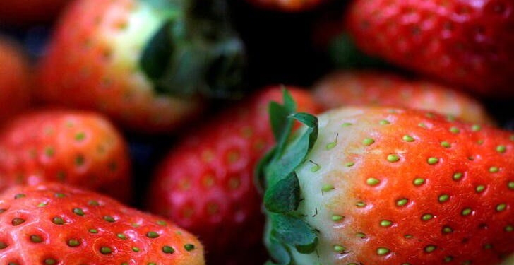 US, Canada investigate Hepatitis A outbreak linked to strawberries