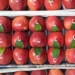 Kashmiri apples make an appearance at UAE supermarkets