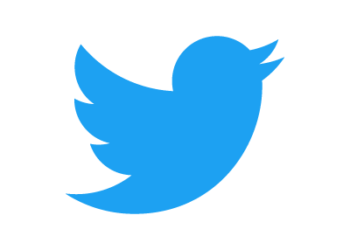 Twitter delays launch of Blue subscription service after US midterms