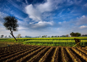 Will New Land Grants Rules end hegemony of influential business families in J&K?