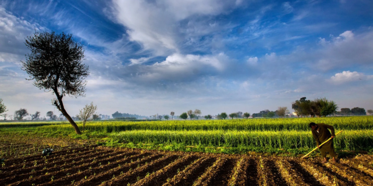 Will New Land Grants Rules end hegemony of influential business families in J&K?