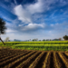 Will New Land Grants Rules end hegemony of influential business families in J&K?