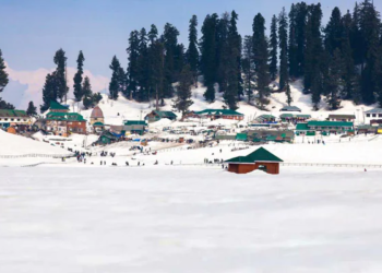 Will New Land Grants Rules end hegemony of influential business families in J&K?