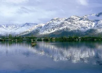 Rare bird sightings after decades in Kashmir’s Wular Lake