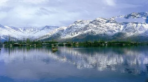 Rare bird sightings after decades in Kashmir’s Wular Lake