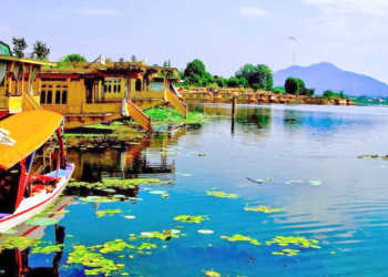 Dal Lake’s open space area increases to 20.3 square kilometres: VC, LCMA