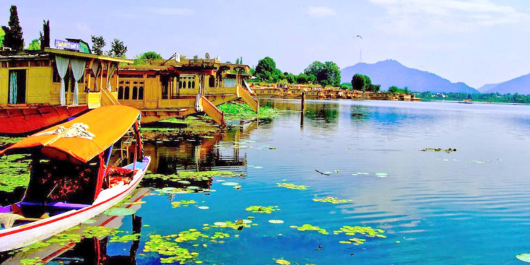 Dal Lake’s open space area increases to 20.3 square kilometres: VC, LCMA
