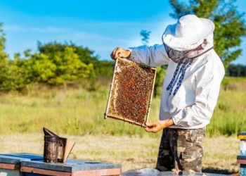 J&K witnessing sweet revolution