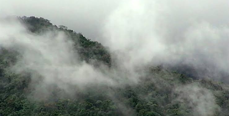 Fog envelopes Kashmir, creating visibility issues