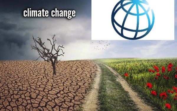 World Bank launches climate and health initiative to avert 21 million deaths by 2050