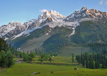 Snowless Sonamarg: Tourists frown, locals worry as charming resort loses its winter glow