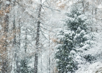 Upto 7 ft of snow predicted at some places in Kashmir