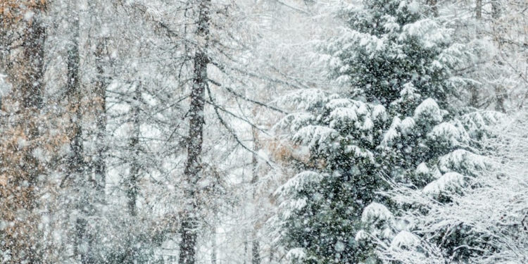 Upto 7 ft of snow predicted at some places in Kashmir