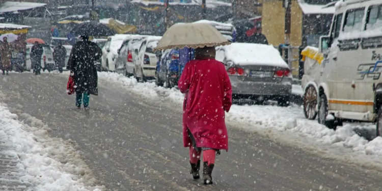 Blanket of white covers Kashmir: Widespread snowfall in higher reaches of J&K
