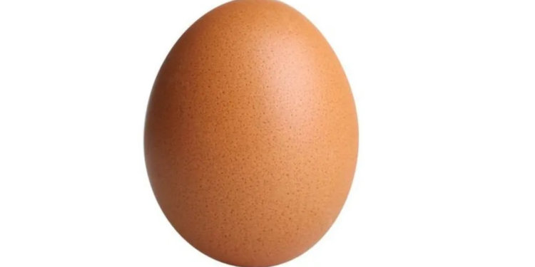 Elderly woman’s humble egg donation sparks viral fundraising miracle for Sopore mosque construction