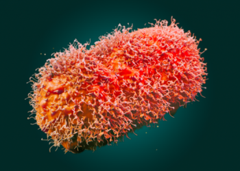 Mpox Virus Outbreak in Africa Intensifies: WHO Considers Global Health Emergency Declaration