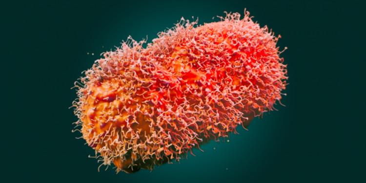Mpox Virus Outbreak in Africa Intensifies: WHO Considers Global Health Emergency Declaration