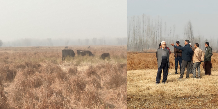 EPG calls for High-Level Inquiry into Deteriorating Condition of Mirgund Wetland