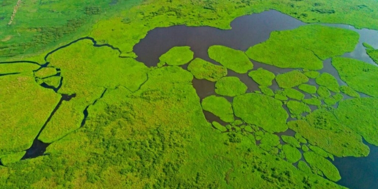 EPG Sounds Alarm: Haigham Wetland Reserve on the Brink of Ecological Collapse