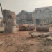 Cultural Treasures Torn Down: EPG Condemns Chinar Trees Destruction