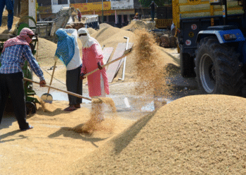 Labour reforms to create 77 lakh jobs, boost consumption by Rs 75,000 crore: SBI report