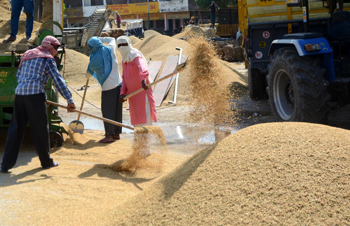 Labour reforms to create 77 lakh jobs, boost consumption by Rs 75,000 crore: SBI report