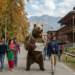 Srinagar’s Black Bears Go ‘Campus-Hopping’; Wildlife Teams on High Alert