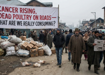 Cancer Rising, Dead Poultry on Roads — What Are We Really Consuming in Kashmir?