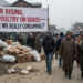 Cancer Rising, Dead Poultry on Roads — What Are We Really Consuming in Kashmir?