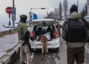 Security Forces Intensify Checks in Srinagar Ahead of Christmas, New Year