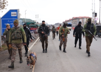 Security Grid Intensifies Checks Across Srinagar