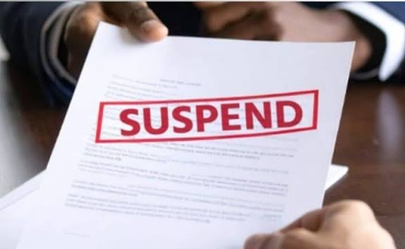 SMC Suspends Sanitary Inspector After Puppies Relocation, Locals Defend Officer