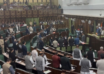 No Extension of Maternity Leave or Honorarium During Leave Period, Says Health Minister