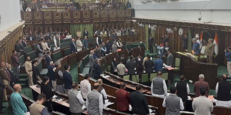 No Extension of Maternity Leave or Honorarium During Leave Period, Says Health Minister