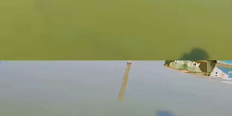 ‘Procedural Lapse’ Behind Dal Lake Bloom, Claims Environmental Policy Group