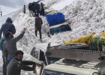 Avalanche Near Zojila Traps Vehicles