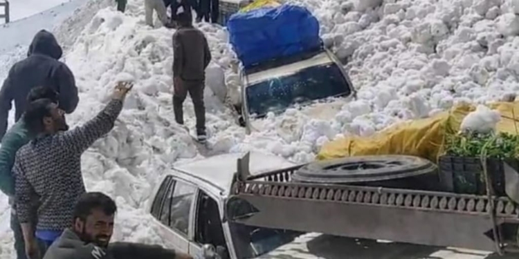 Avalanche Near Zojila Traps Vehicles