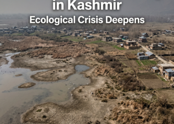 45% of J&K’s Lakes Have Vanished: EPG Sounds Alarm Over Wetland Crisis