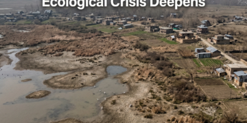 45% of J&K’s Lakes Have Vanished: EPG Sounds Alarm Over Wetland Crisis