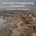 45% of J&K’s Lakes Have Vanished: EPG Sounds Alarm Over Wetland Crisis